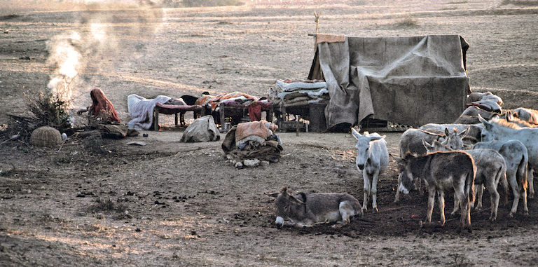 The Banjara are wandering traders and artisans. They also do levelling of fields with their donkeys. Above: An Od family of Gujarat on the move. They move with their belongings, including their poultry tied to cots placed on donkeys. The Od are also earth-workers of Gujarat in western India.